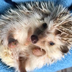 Meet your Posher, Leeann